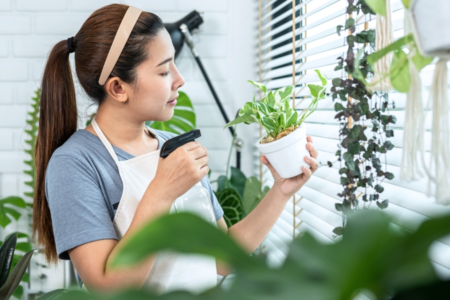 Air Alkali untuk Berkebun? Apakah Bisa? Ini Penjelasannya!