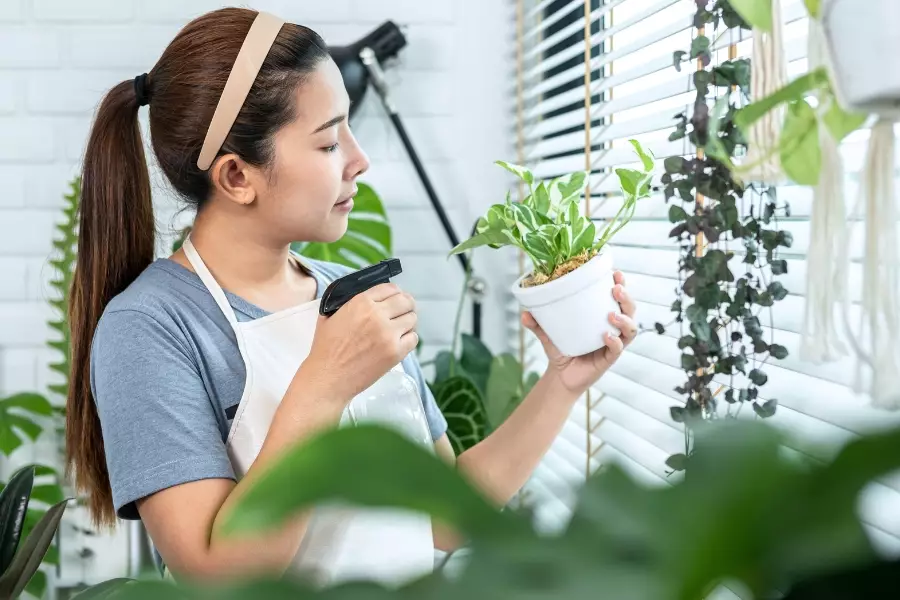 Air Alkali untuk Berkebun? Apakah Bisa? Ini Penjelasannya! Air Alkali untuk Berkebun? Apakah Bisa? Ini Penjelasannya!