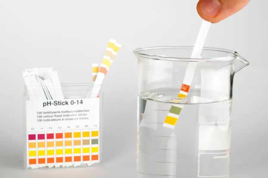 Apakah Air dengan pH 9.5 Layak untuk Diminum Sehari-Hari? Apakah Air dengan pH 9.5 Layak untuk Diminum Sehari-Hari?